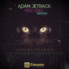 Thumbnail for the Adam Jetrack - Meeting Remixes link, provided by host site