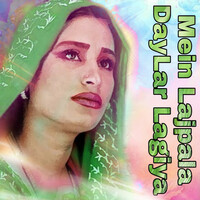 Thumbnail for the Naseebo Lal - Mein Lajpala Day Lar Lagiya link, provided by host site