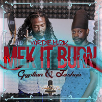 Thumbnail for the Gyptian - Mek It Burn-Single link, provided by host site