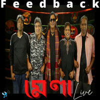 Thumbnail for the Feedback - Mela link, provided by host site