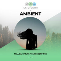Thumbnail for the White Noise Nature Sounds Baby Sleep - ! ! ! Mellow Ambient Nature Field Recordings ! ! ! link, provided by host site