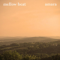 Thumbnail for the Amara - mellow beat link, provided by host site