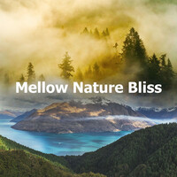 Thumbnail for the Sounds of Nature White Noise for Mindfulness Meditation and Relaxation - Mellow Nature Bliss link, provided by host site