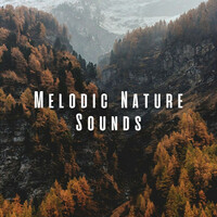 Thumbnail for the Nature Sounds Library - Melodic Nature Sounds link, provided by host site