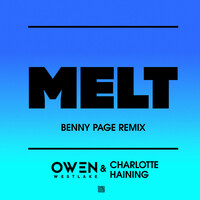 Thumbnail for the Owen Westlake - Melt (Benny Page Remix) link, provided by host site