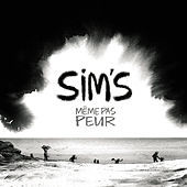 Thumbnail for the Sims - Même pas peur link, provided by host site