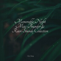 Thumbnail for the Meditation Spa - Memorable Night Mix: Thunder & Rain Sounds Collection link, provided by host site