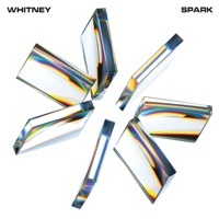 Thumbnail for the Whitney - MEMORY link, provided by host site
