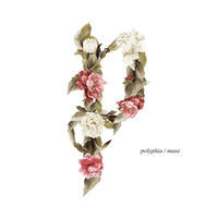 Thumbnail for the Polyphia - Memory link, provided by host site