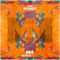 Thumbnail for the Amidy - Memory link, provided by host site