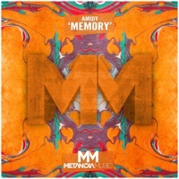 Thumbnail for the Amidy - Memory link, provided by host site