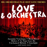 Thumbnail for the Boston Symphony Orchestra - Memory link, provided by host site