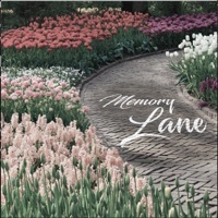 Thumbnail for the Simon Servida - Memory Lane link, provided by host site