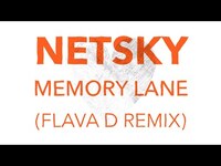 Thumbnail for the Netsky - Memory Lane (Flava D Remix) link, provided by host site