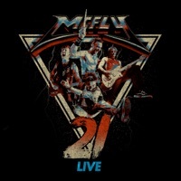Thumbnail for the McFly - Memory Lane (Live at the O2) link, provided by host site