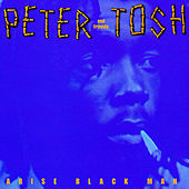 Image of Peter Tosh linking to their artist page due to link from them being at the top of the main table on this page