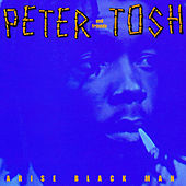 Thumbnail for the Peter Tosh - Memphis link, provided by host site