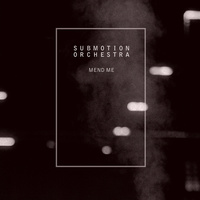 Thumbnail for the Submotion Orchestra - Mend Me link, provided by host site