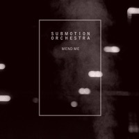 Thumbnail for the Submotion Orchestra - Mend Me link, provided by host site