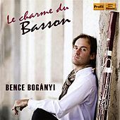 Image of Bence Boganyi linking to their artist page due to link from them being at the top of the main table on this page