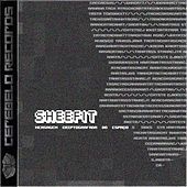 Thumbnail for the Sheefit - Mensagem Criptografada do Espaço link, provided by host site