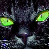 Thumbnail for the Miro Pajic - Meow link, provided by host site