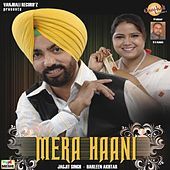 Thumbnail for the Jagjit Singh - Mera Haani link, provided by host site