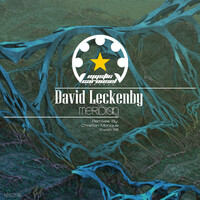 Thumbnail for the Dave Leck - Meridian - Christian Monique Remix link, provided by host site
