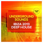 Thumbnail for the Dale Howard - Merrt (Ian Pooley Remix) link, provided by host site