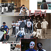 Thumbnail for the L2M - Mes Problèmes link, provided by host site
