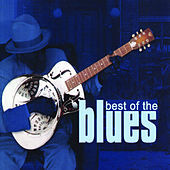 Thumbnail for the Memphis Slim - Messin Around link, provided by host site