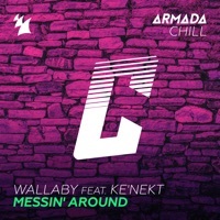Thumbnail for the Wallaby - Messin' Around link, provided by host site