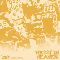 Thumbnail for the VENBEE - messy in heaven (acoustic version) link, provided by host site