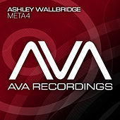 Thumbnail for the Ashley Wallbridge - Meta4 link, provided by host site