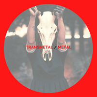 Image of Transmetal linking to their artist page due to link from them being at the top of the main table on this page