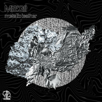 Thumbnail for the MISIGII - Metallic Leather link, provided by host site