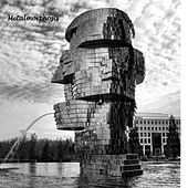 Thumbnail for the Paradigm - Metalmorphosis link, provided by host site