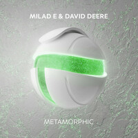 Thumbnail for the Milad E - Metamorphic link, provided by host site
