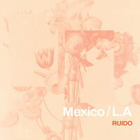 Thumbnail for the Ruido - Mexico / L.A link, provided by host site