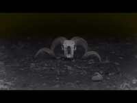 Thumbnail for the Machine Head - MHAE link, provided by host site