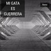 Thumbnail for the Remo - Mi Gata Es Guerrera link, provided by host site