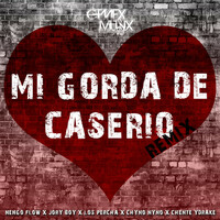Thumbnail for the Ñengo Flow - Mi Gorda de Caserio (Remix) link, provided by host site
