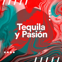 Thumbnail for the Banda Sinaloense Los Recoditos - Mi Gran Problema link, provided by host site
