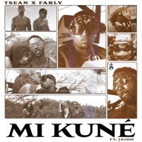 Thumbnail for the T-Sean - Mi Kuné - Single link, provided by host site