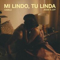 Thumbnail for the Jesse & Joy - Mi lindo, tu linda link, provided by host site