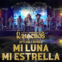 Thumbnail for the Banda Machos - Mi Luna, Mi Estrella link, provided by host site