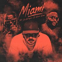 Thumbnail for the Lil Wayne - Miami link, provided by host site