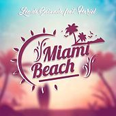 Thumbnail for the Mc Hariel - Miami Beach link, provided by host site