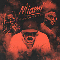 Thumbnail for the Morgan Wallen - Miami link, provided by host site