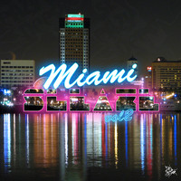 Thumbnail for the Rob Made - Miami Sleaze, Vol. 2 (Mixed & Compiled by Rob Made) link, provided by host site